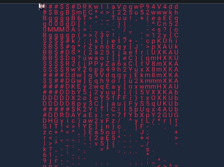 ASCII Video to Text